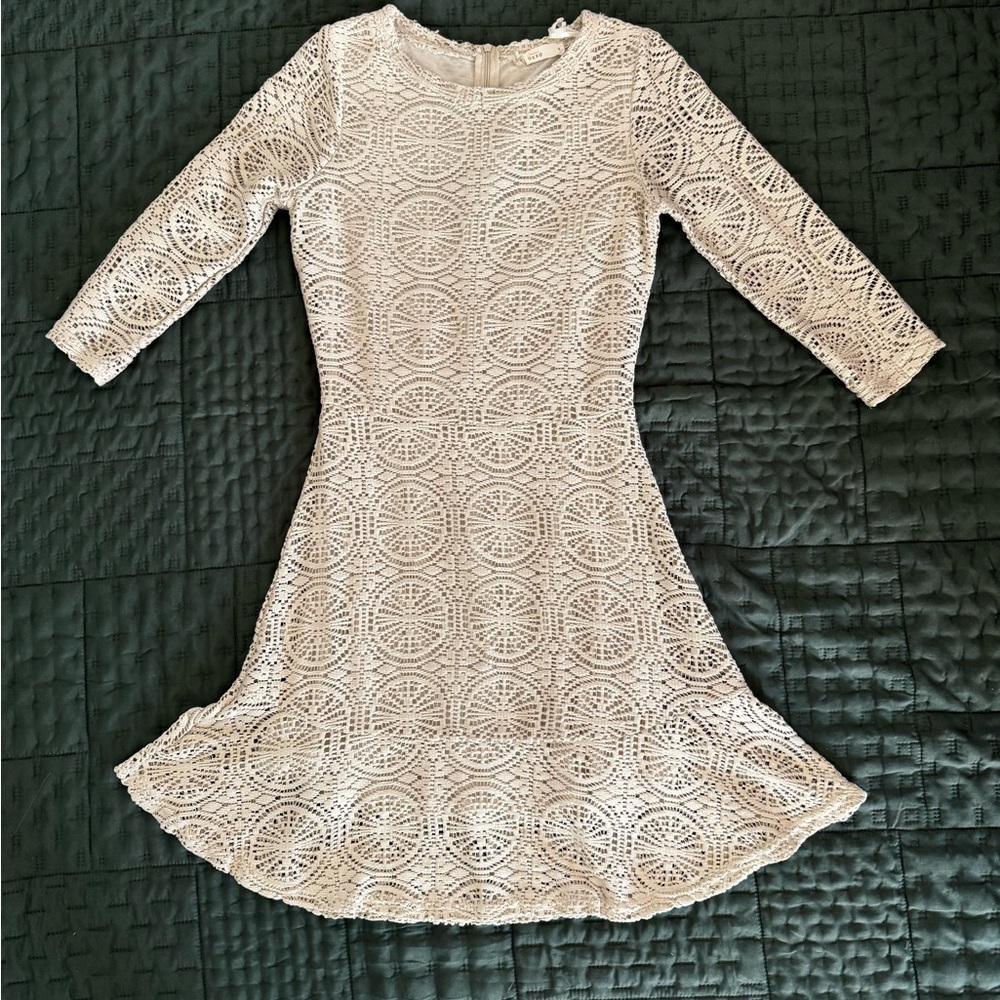 Chic Cream Lace Long Sleeve Dress